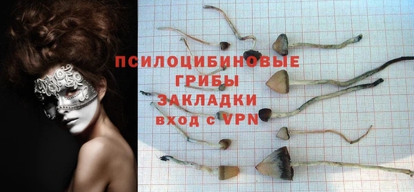 соль курить ск Верхний Тагил